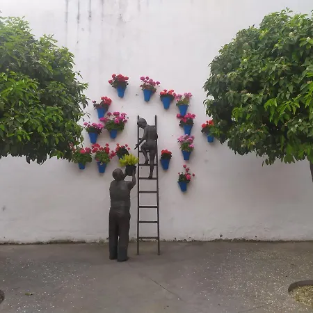 Patios De * قرطبة